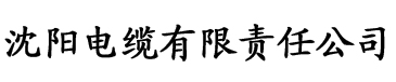 羞羞片电缆厂logo